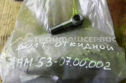 Болт откидной АНМ53-07.00.002
