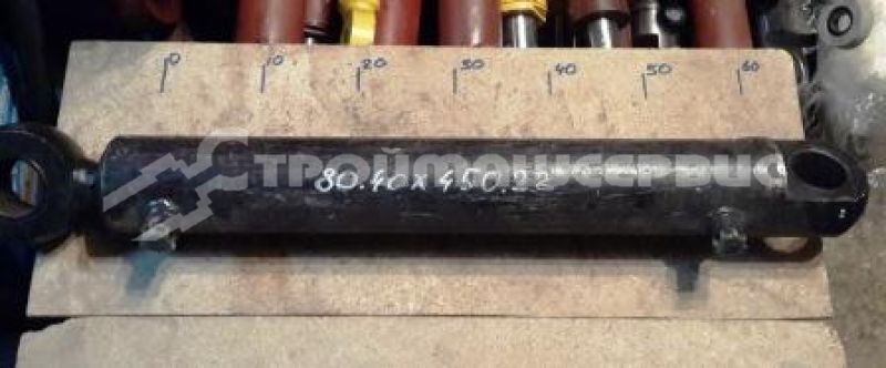 Гидроцилиндр рабочего органа ЦГ-80.40х450.22